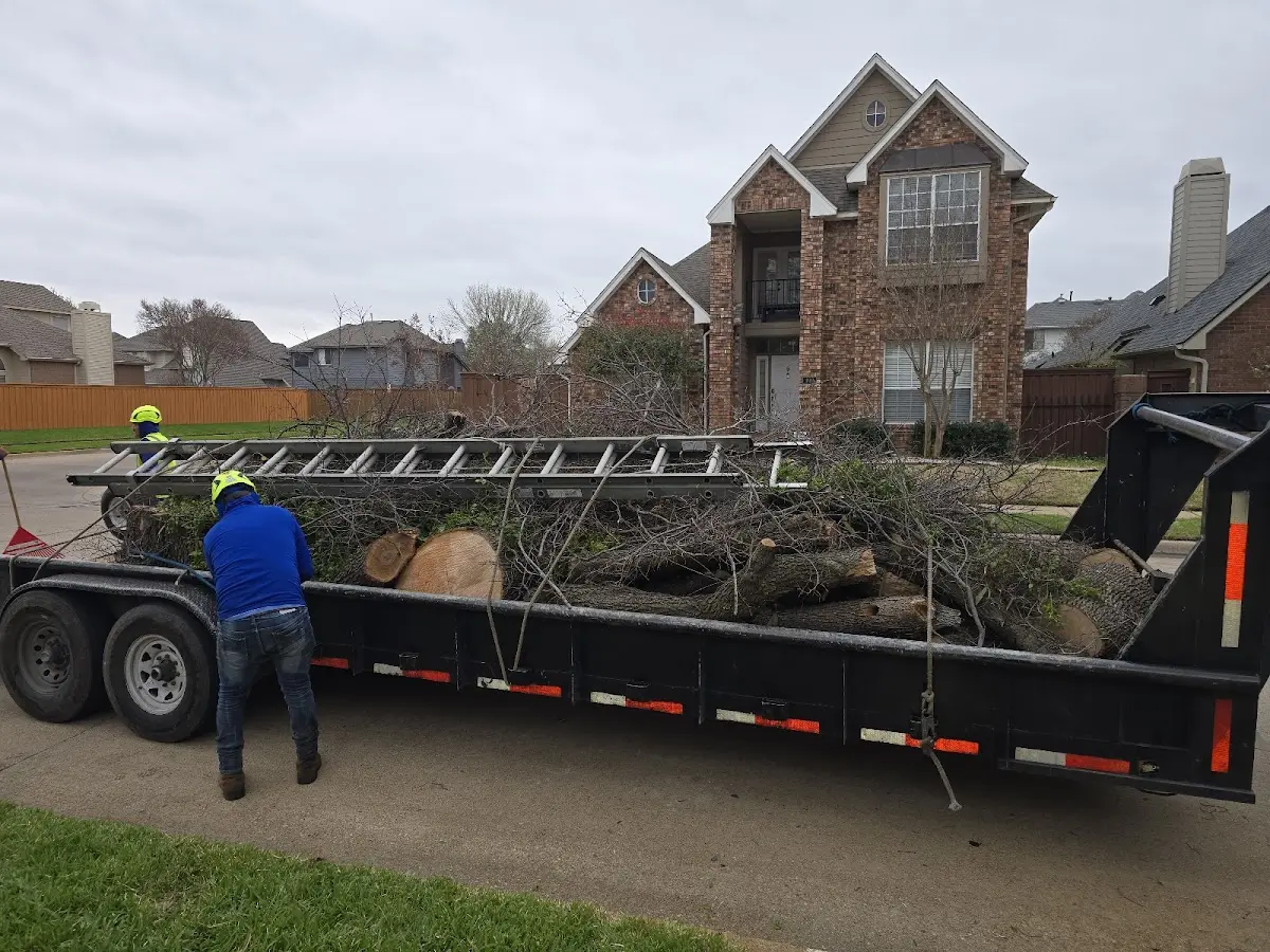Expert Tree Fertilization with proper safety equipment in South Rockwood